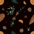 Hand drawn seamless pattern with parts of Christmas plants on black background - mistletoe, branches of coniferous trees