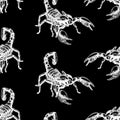 Hand drawn seamless pattern with scorpion. Background design. Royalty Free Stock Photo