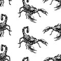 Hand drawn seamless pattern with scorpion. Background design. Royalty Free Stock Photo