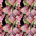Hand-drawn seamless pattern with tropical Proteas and succulents in boho style Royalty Free Stock Photo