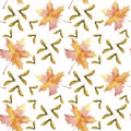 Hand drawn seamless pattern watercolor colorful maple fall leaf and winged seeds maple tree isolated on white background.