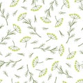 Hand drawn seamless pattern with wild hay flowers. Yarrow milfoil. Medical herb. Vintage engraved art. Botanical Royalty Free Stock Photo