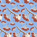Hand drawn seamless pattern with winter berry branches covered with snow on blue background in folk style vector illustration. The Royalty Free Stock Photo