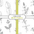 Hand drawn seamless patterns collection with kaffir lime, borage, hyssop, stevia