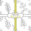 Hand drawn seamless patterns collection with rosemary, parsley, dill, thyme