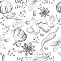 Hand drawn seamless set of organic spices