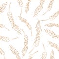 Hand drawn seamless vector wheat spikelets background Royalty Free Stock Photo