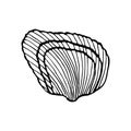 Hand-drawn seashell spiral, isolated black outline on white background.