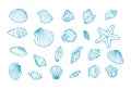 Hand drawn seashells. Marine doodle set with seastars and mussels. Collection of shell, sink and starfish. Perfect for Royalty Free Stock Photo