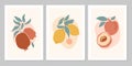 Hand drawn set abstract boho poster with tropical fruit lemon, pomegranate, peach isolated on beige background.