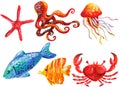 Hand drawn set of acrylic marine life. Various fish, starfish, crab, jellyfish and octopus isolated on white background Royalty Free Stock Photo