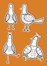 Birds stickers