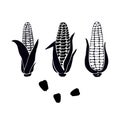 Hand drawn set of black silhouette corn cobs and grains on white background. Royalty Free Stock Photo