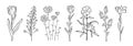 Hand drawn set of blooming flowers. Floral summer collection. Vector sketch elements isolated on white background. Decorative Royalty Free Stock Photo