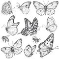 Hand drawn set of butterflies and bees.