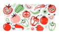 Hand drawn set colorful doodle vegetables in trendy organic style. Red and green pepper, hot chili, tomatoes, jalapeno Royalty Free Stock Photo