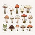 Hand Drawn Set Of Colorful Mushrooms In Woodland Goth Style Royalty Free Stock Photo