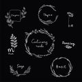 Hand drawn set of culinary herb. Basil and mint, rosemary and sage, thyme and parsley. Food design logo