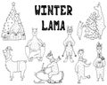 Hand-drawn set of cute monochrome winter lamas