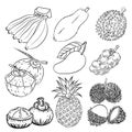 Hand drawn set of different tropical fruits-Vector sketch Design