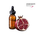 Hand drawn set of essential oil. Vector pomegranate and flower. Medicinal herb with glass dropper bottle. Engraved