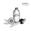 Hand drawn set of essential oils. Vector calendula flower. Medicinal herb with glass dropper bottle. Engraved art. Good