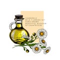 Hand drawn set of essential oils. Vector colored camomile flower. Medicinal herb with glass dropper bottle. Engraved art