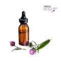 Hand drawn set of essential oils. Vector milk thistle flower. Medicinal herb with glass dropper bottle. Engraved Royalty Free Stock Photo