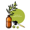 Hand drawn set of essential oils. Vector olive oil and branch. Medicinal herb with glass dropper bottle. Engraved Royalty Free Stock Photo