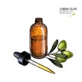 Hand drawn set of essential oils. Vector olive oil and branch. Medicinal herb with glass dropper bottle. Engraved Royalty Free Stock Photo