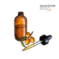 Hand drawn set of essential oils. Vector sea buckthorn berry. Medicinal herb with glass dropper bottle. Engraved colored