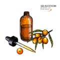 Hand drawn set of essential oils. Vector sea buckthorn berry. Medicinal herb with glass dropper bottle. Engraved colored