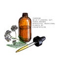 Hand drawn set of essential oils. Vector yarrow milfoil flower. Medicinal herb with glass dropper bottle. Colored engraved art.