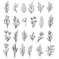 Hand drawn set of floral leaf, flower, branch