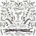 Hand-drawn set of florals and flourishes Royalty Free Stock Photo