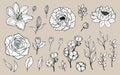 Hand drawn set of flowers and leaves. Peony, rose, lily, lotus, cotton elements. Floral summer vector collection. Decorative Royalty Free Stock Photo