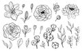 Hand drawn set of flowers and leaves. Peony, rose, lily, lotus, cotton elements. Floral summer vector collection. Decorative Royalty Free Stock Photo