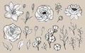 Hand drawn set of flowers and leaves. Peony, rose, lily, lotus, cotton elements. Floral summer vector collection. Decorative Royalty Free Stock Photo