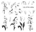 Hand-drawn set with flowers of the Lily of the valley, primrose. realistic Doodle isolated on white background. Botanical elements