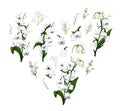 Hand-drawn set with flowers of the Lily of the valley, primrose. realistic Doodle isolated on white background. Botanical elements