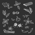 Hand drawn set with herbs and spices. Design elements isolated on white. Cooking icons. Vector illustration Royalty Free Stock Photo