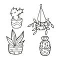 Hand drawn set with house plants. In doodle style, black outline isolated on white background. Cute element for card, social media Royalty Free Stock Photo