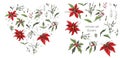 Set of winter flowers poinsettia, white mistletoe, Holly isolated on a white background. realistic hand-drawn doodles, colorful