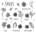 Hand drawn set of kitchen herbs and spices