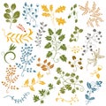 Hand drawn set of leaves and flowers. Decorative elements. Vector