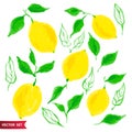 Hand drawn set of lemon fruit with texture. Food element collection. Vector illustration of lemons with leaves. Floral