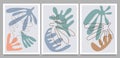 Hand drawn Set of Matisse cutouts posters with textured abstract organic shapes