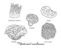 Hand drawn set of medicinal mushrooms