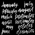 Hand drawn set of months. Modern dry brush lettering. Names of the months. Vector illustration. Handwritten grunge inscription.