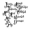 Hand drawn set of months. Modern dry brush lettering. Names of the months. Vector illustration. Handwritten grunge